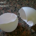 Starting Seeds in Eggshells