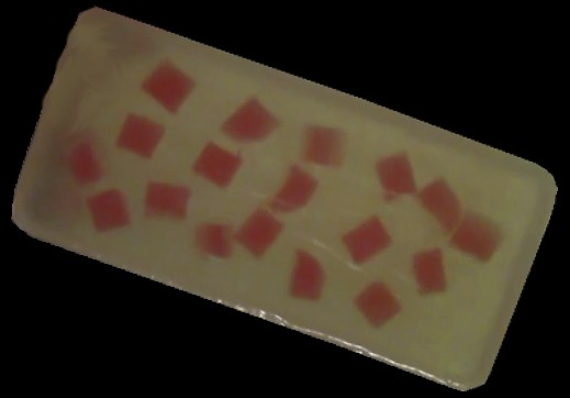 How to Make Encased Blocks Soaps (melt and pour)