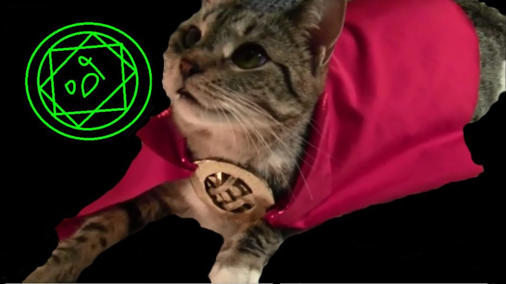Dr. Strange Cat Costume DIY