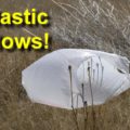 The Road to Zero Waste Step 1: Plastic Bags