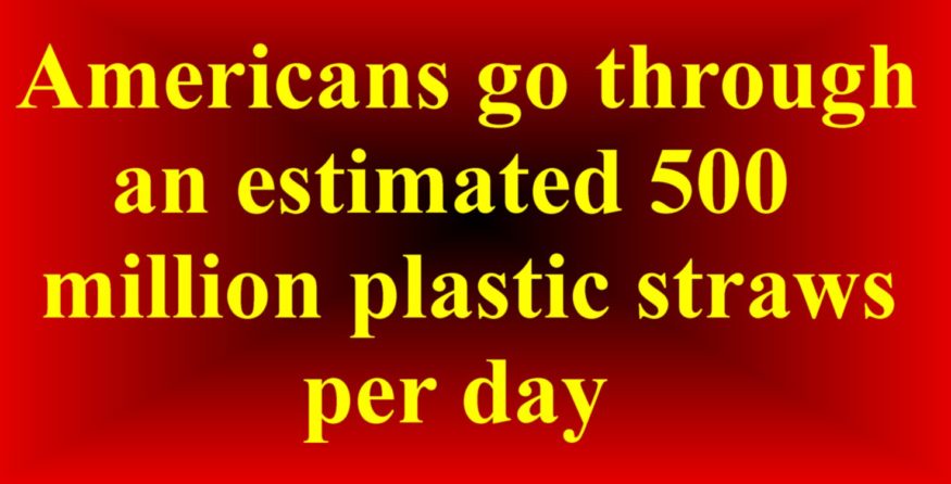 Reusable Containers - The Journey to Zero Waste