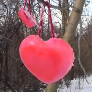 Crafts for Kids - Super Easy DIY Valentine Ice Hearts