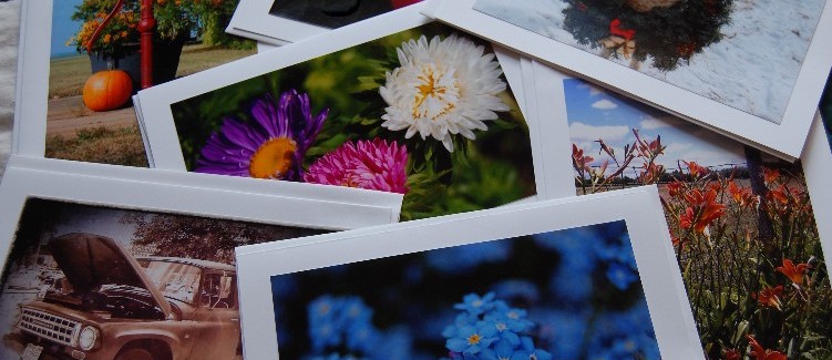 Amber Reifsteck Photography