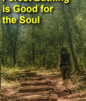 A Walking Meditation Sets Up a Better Day