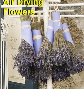 Flower Preservation Air Drying