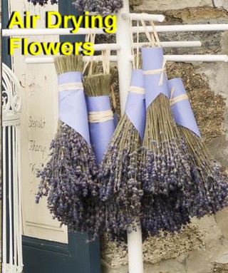 Flower Preservation: Air Drying
