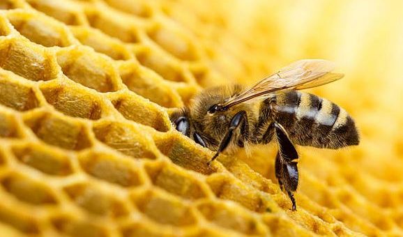 5 Simple Ways To Make Your Crafting More Eco Friendly