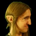 How To Use Elf Ears