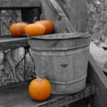 Black and White Gallery