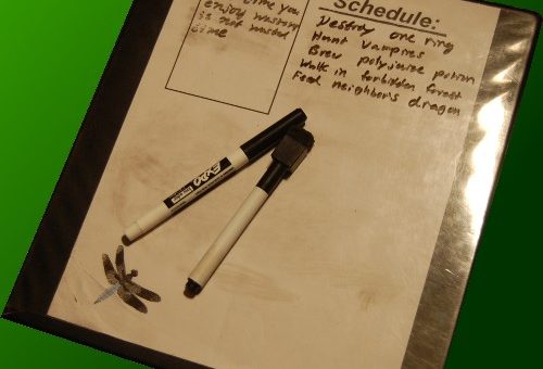 DIY Planner That's Reusable