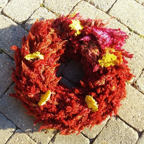 How To Make a Dried Celosia Wreath - Wreath Making - Dried Flower Wreath, Autumn Wreath