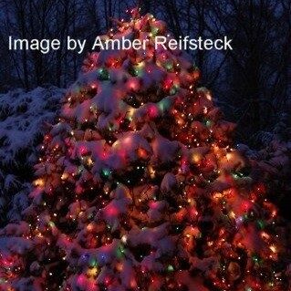 Winter Holiday Gallery