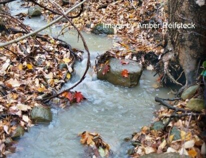 Autumn River