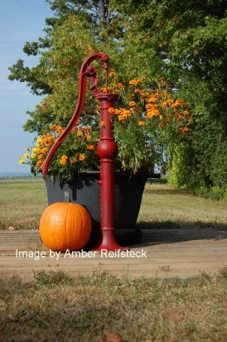 Autumn Well