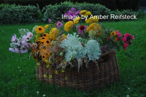 Basket Bounty