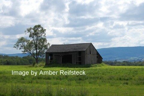 Country Barn