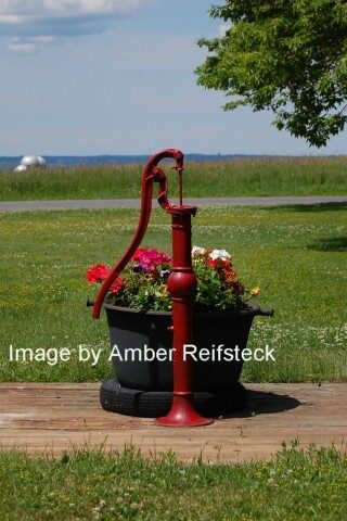 Flower Pot