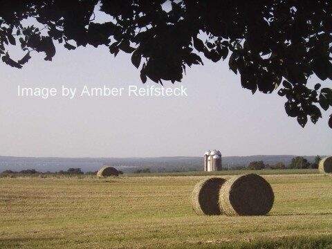 Making Hay