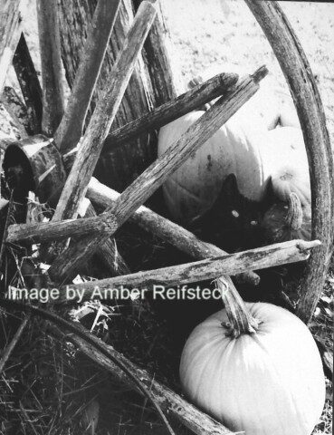 October