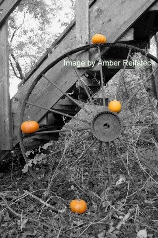 Pumpkin Wheel